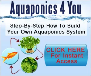 Aquaponics 4 You