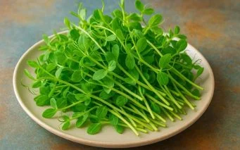 Are Hydroponic Asia Pea Shoots Healthy
