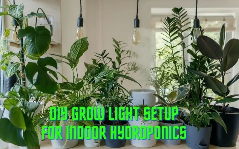 DIY Grow Light Setup For Indoor Hydroponics