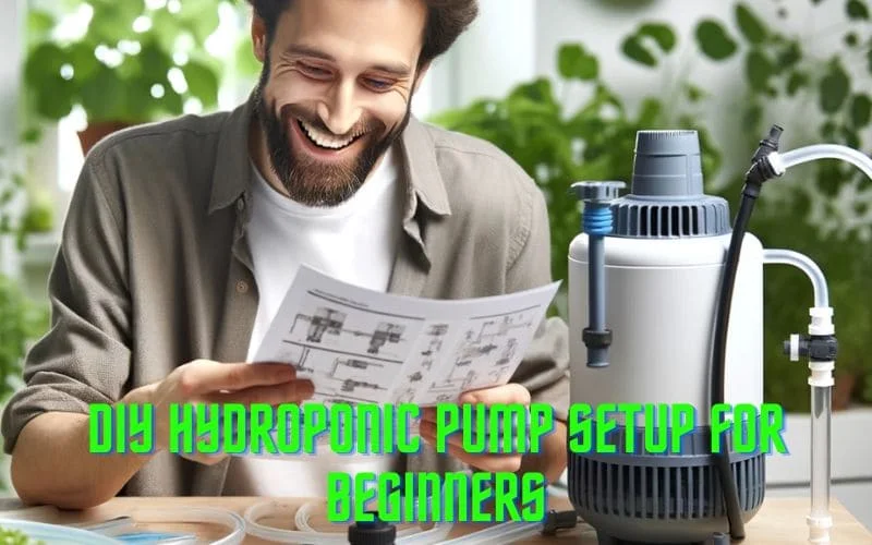 DIY Hydroponic Pump Setup For Beginners
