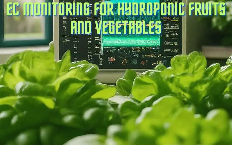 EC Monitoring for Hydroponic Fruits and Vegetables