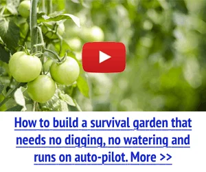 The Hidden Survival Garden