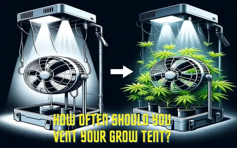 How often should you vent your grow tent