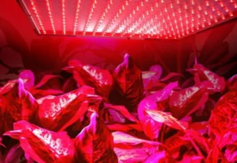 Red LED Grow Lights