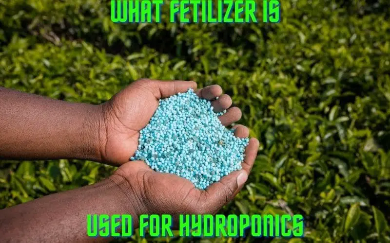 What Fertilizer Is Used for hydroponics