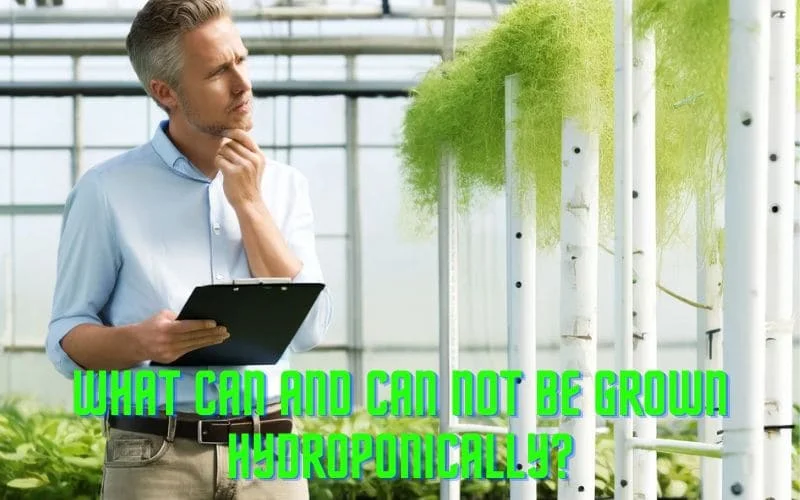 What can and Can Not Be Grown Hydroponically
