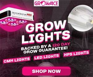Growace lights