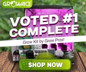 Growace Grow Kits