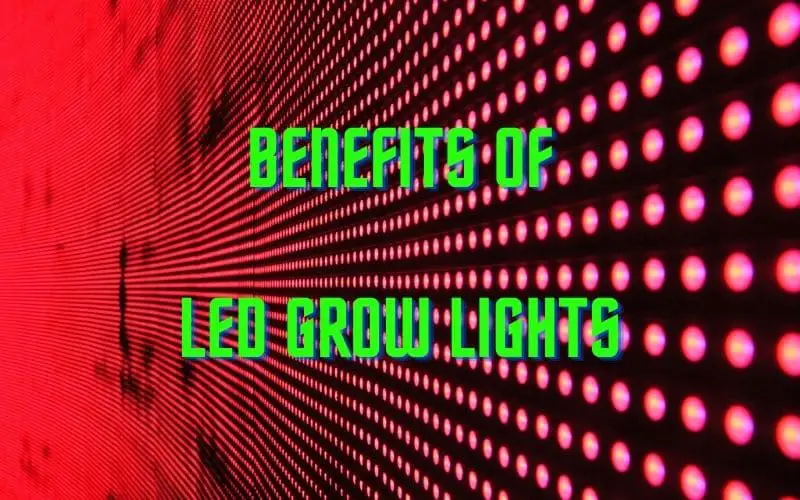 benefits of led grow lights