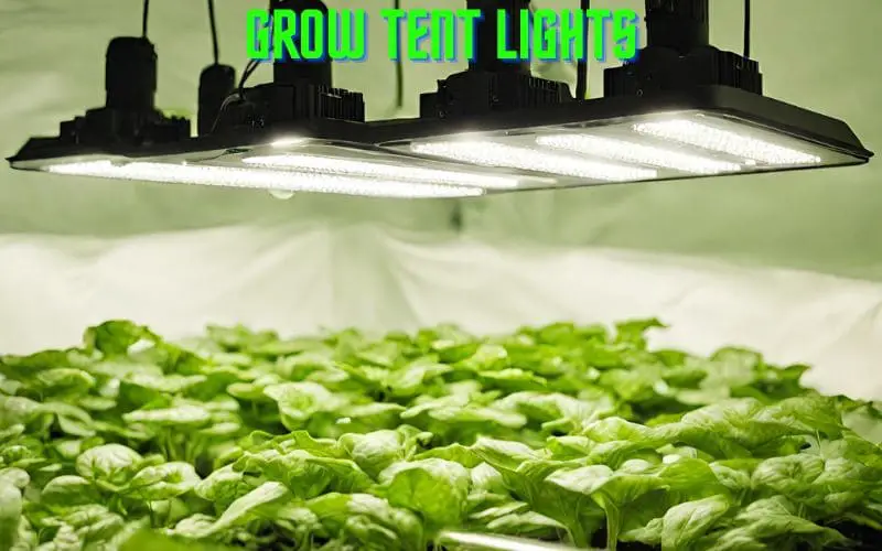 grow tent lights