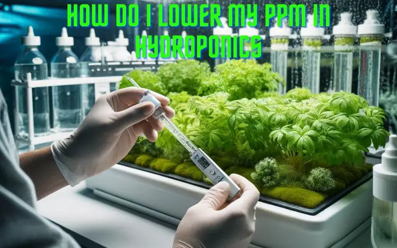 how do i lower my ppm in hydroponics
