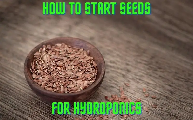 how to start seeds with hydroponics