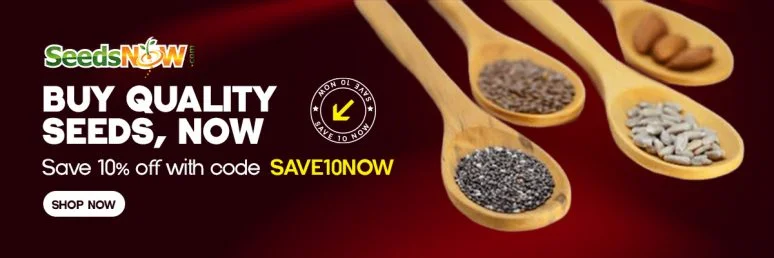 hydroponic seeds