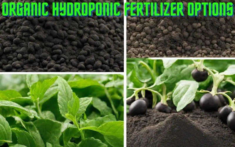 organic hydroponic fertilizer options