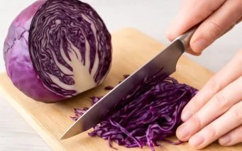 uses for hydroponic red cabbage